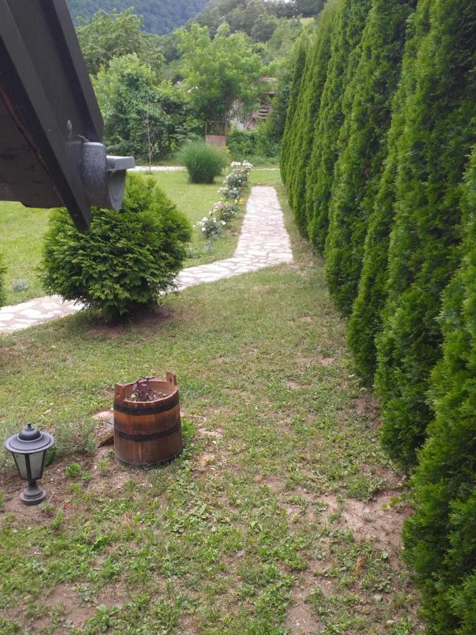 바이나 바슈타 Drinska Tajna 빌라 외부 사진
